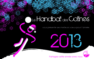 Tous nos voeux pour 2013 !!!!